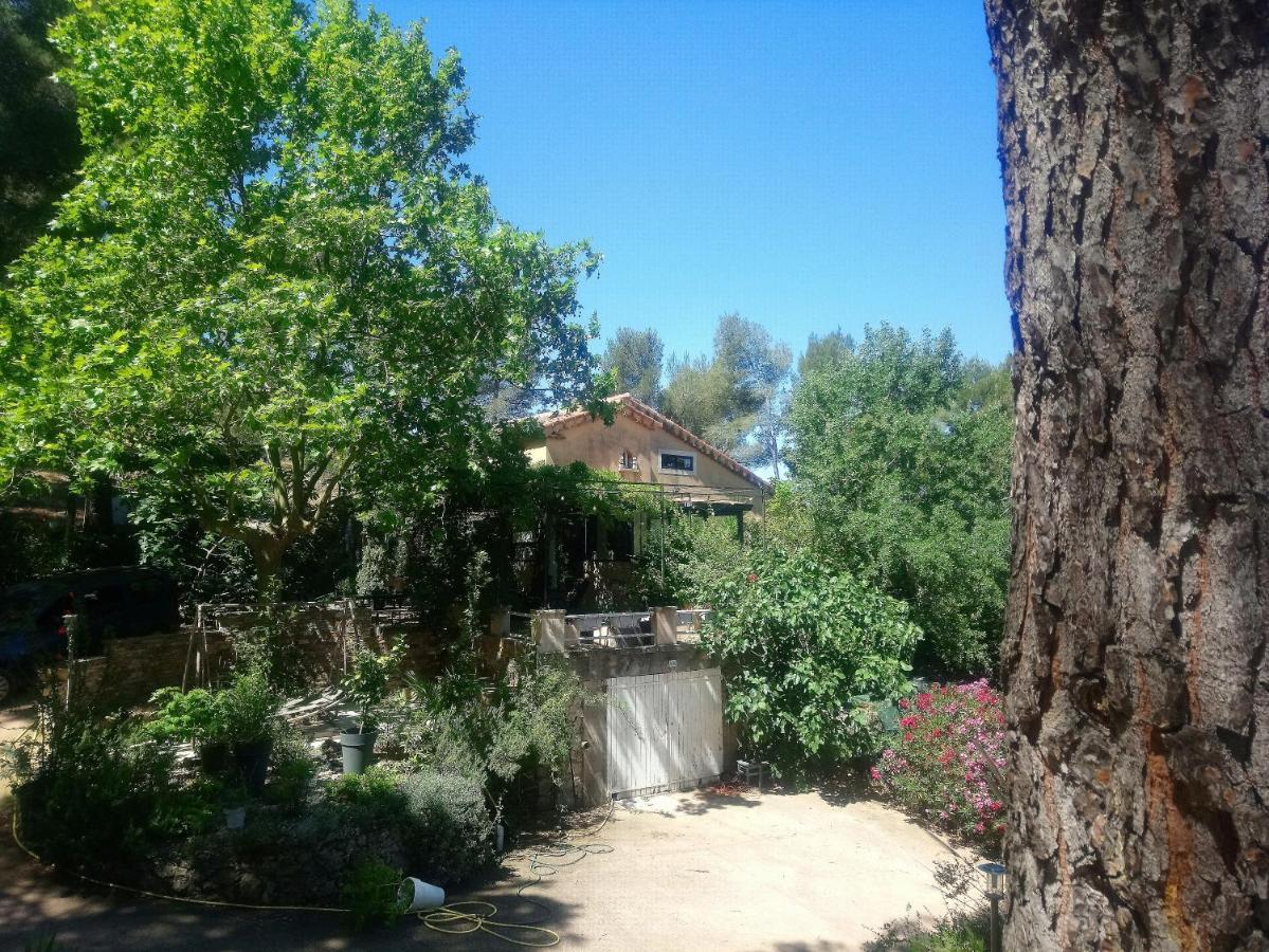 Maison De Charme Avec Piscine Et Jacuzzi Dans Cadre Exceptionnel Proche Marseille Mirabeau 外观 照片